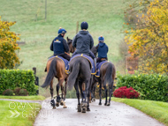 AK071124-33 - Alan King Stable Visit